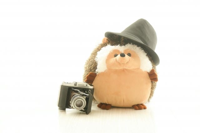 成人式の前撮りでぬいぐるみは持ち込み可能？事前準備や注意すること